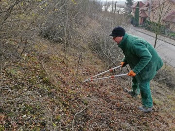 rczne karczowanie tarniny na murawie. widoczna stromizna skarpy3, 